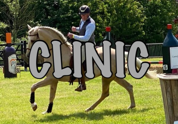Leuk nieuws!
Zaterdagavond 14 december geeft markhoeffgen een Working Equitation clinic op de wolfshoeve_ in Huijbergen. Ons WE-parcours staat daar dan namelijk al opgebouwd voor de wedstrijd op zondag.Wil je graag deze clinic meerijden, georganiseerd door de wolfshoeve_ , geef je dan op via onderstaande link. 

https://online.equi-score.com/event/18

De kosten bedragen €50 p.p. En je lest dan één uur met 3 personen.

Nb. Wat we nog niet gemeld hebben. Deze clinic is niet voor de deelnemers aan de wedstrijd. Dat zou immers oneerlijke concurrentie geven omdat het parcours dan al gereden is. Dus neem je niet deel de 15e ben je op de 14e van harte welkom!